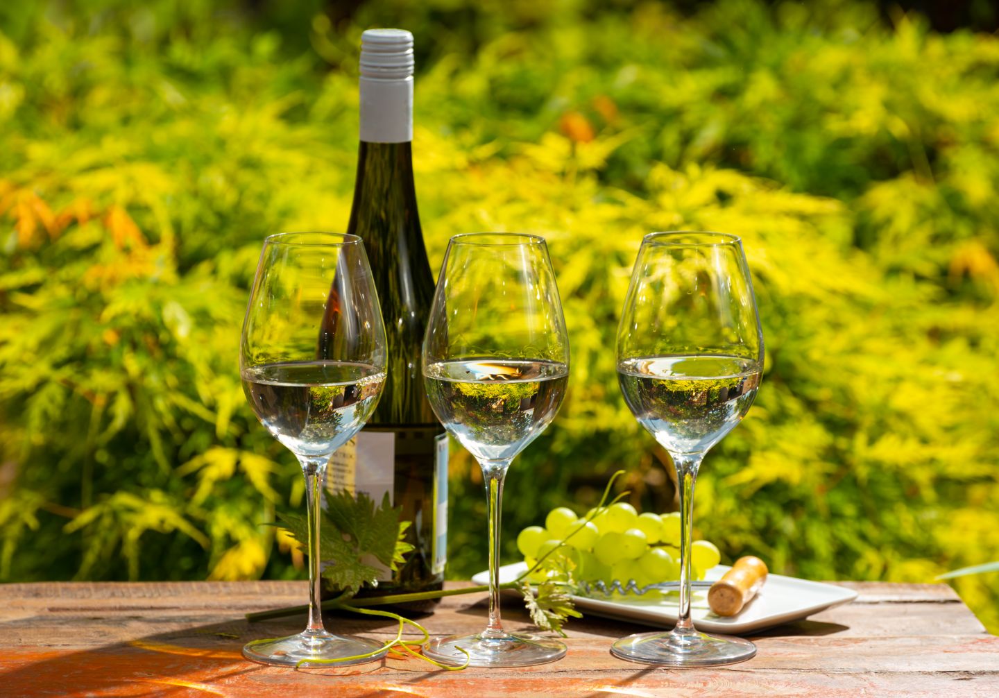 Delicious discoveries: 9 foods to try in Alsace Three glasses of riesling for tasting